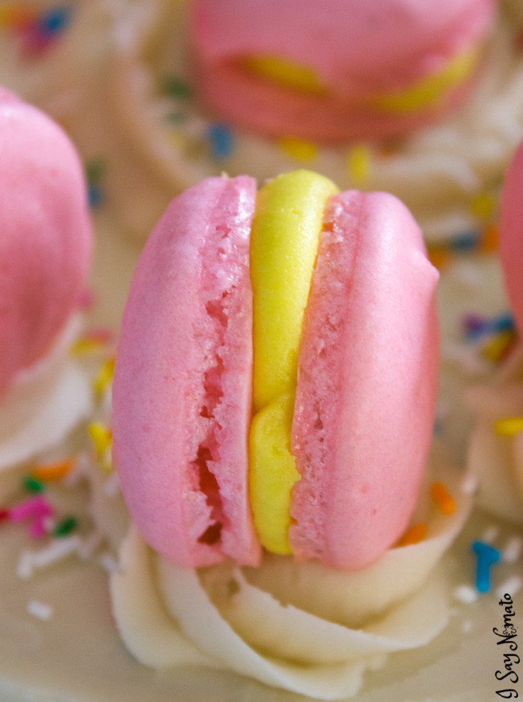 Pink Lemonade Macarons - I Say Nomato Nightshade Free Food Blog
