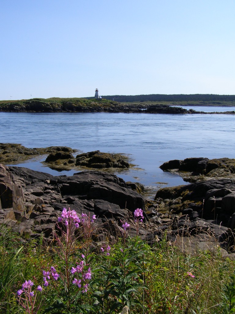 Brier Island - Nature Conservancy of Canada