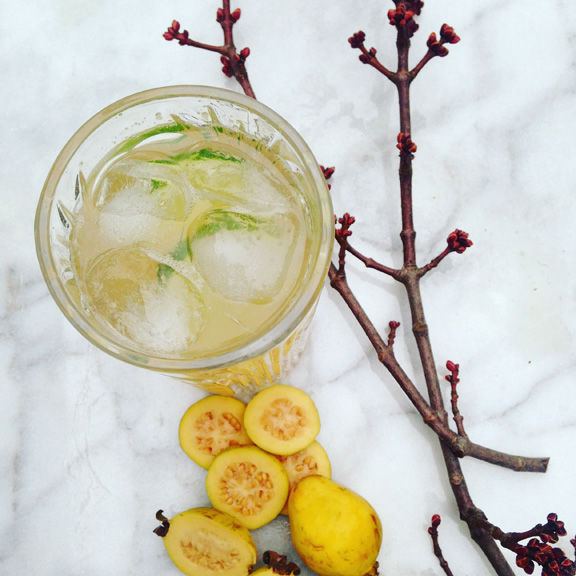 Crafting Libations: Wishing on Spring - Guava Cocktail | Eat, Drink & Do
