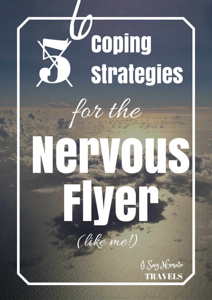 6 Coping Strategies for the Nervous Flyer - I Say Nomato Nightshade Free Food Blog