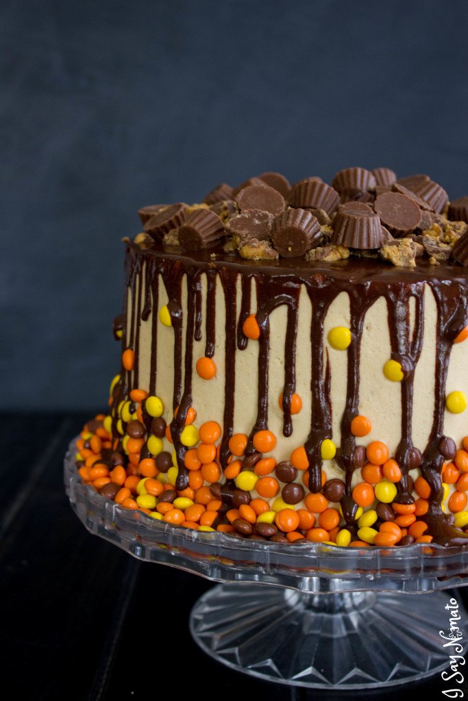 Chocolate and Peanut Butter Drip Cake - I Say Nomato Nightshade Free Food Blog