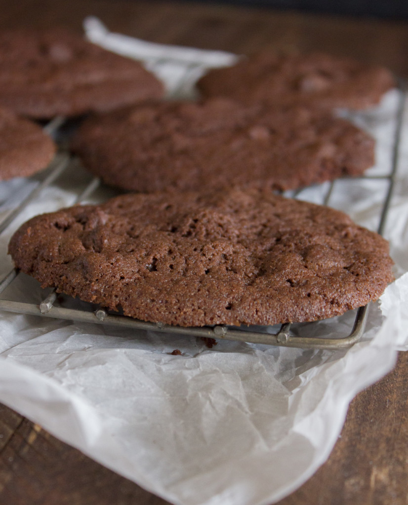 Double Chocolate Chip Cookies - I Say Nomato Nightshade Free Food Blog
