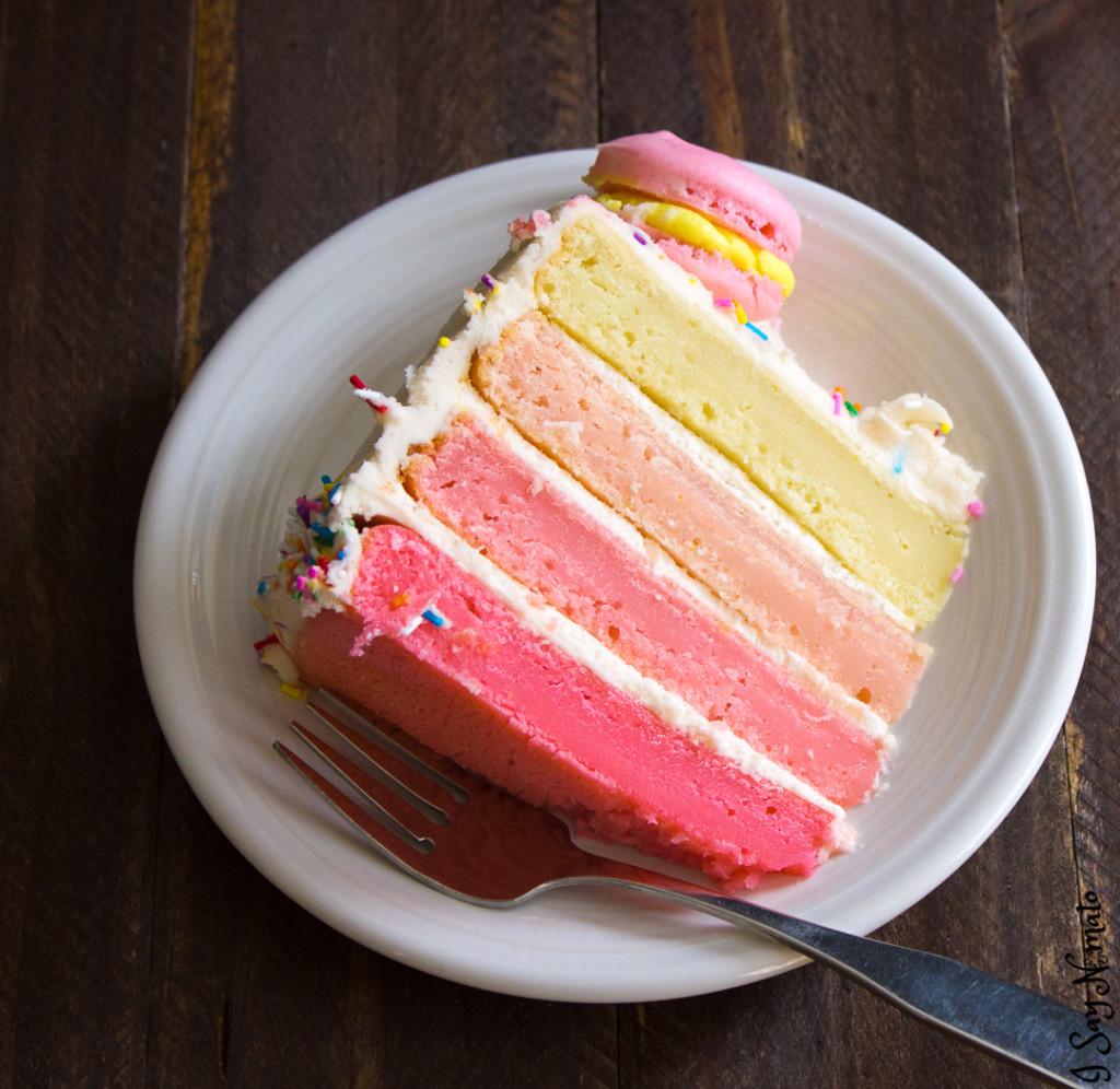 Pink Lemonade Ombre Layer Cake - I Say Nomato Nightshade Free Food Blog