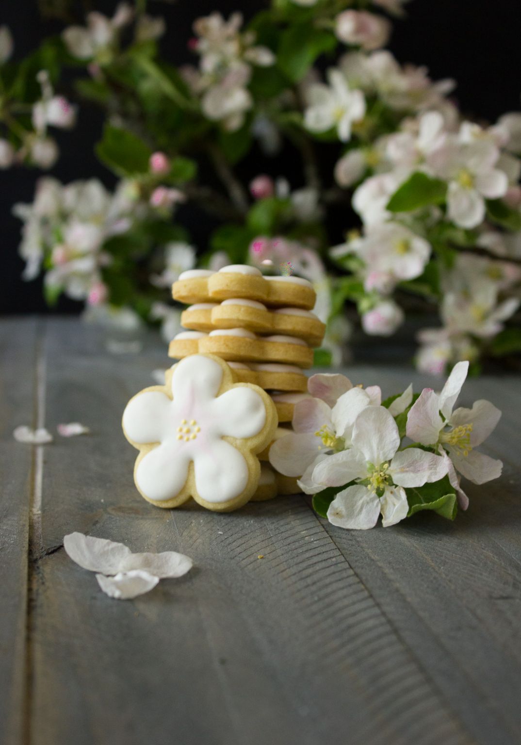 Apple Blossom Sugar Cookies are the most delicious way to celebrate spring!