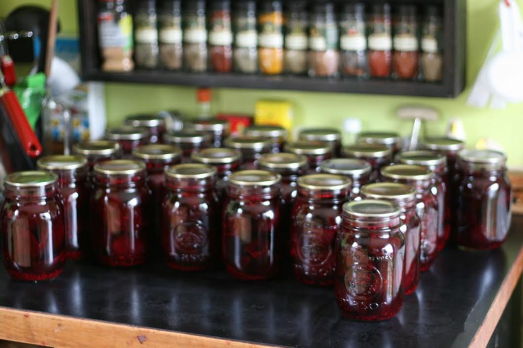 This recipe for Spiced Pickled Beets come from guest poster Jen from the Our Food Project at the Halifax Ecology Action Centre! These beets are so delicious, you'll eat the whole can!