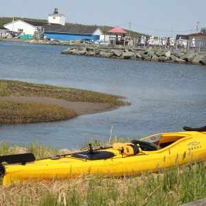 Bus Route #60 – Eastern Passage