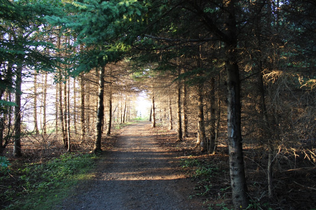 Arisaig Park Nova Scotia