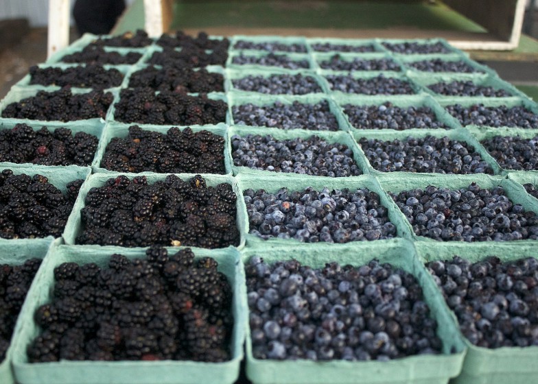 Lunenburn Market Nova Scotia Blueberries