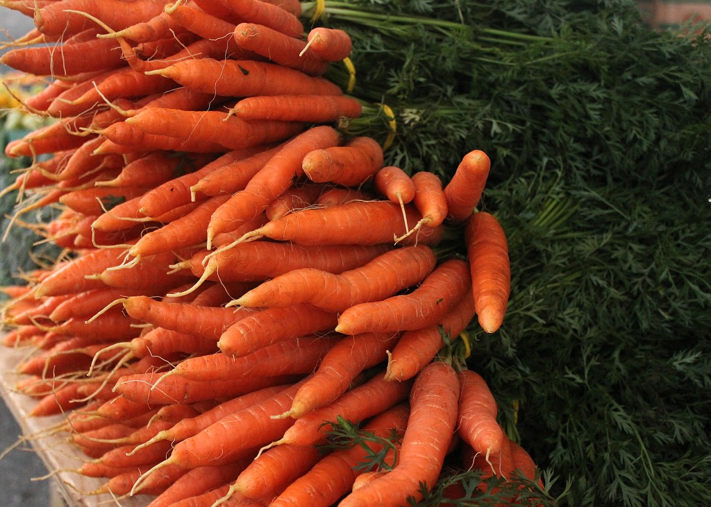 Lunenburg Market Nova Scotia Carrots