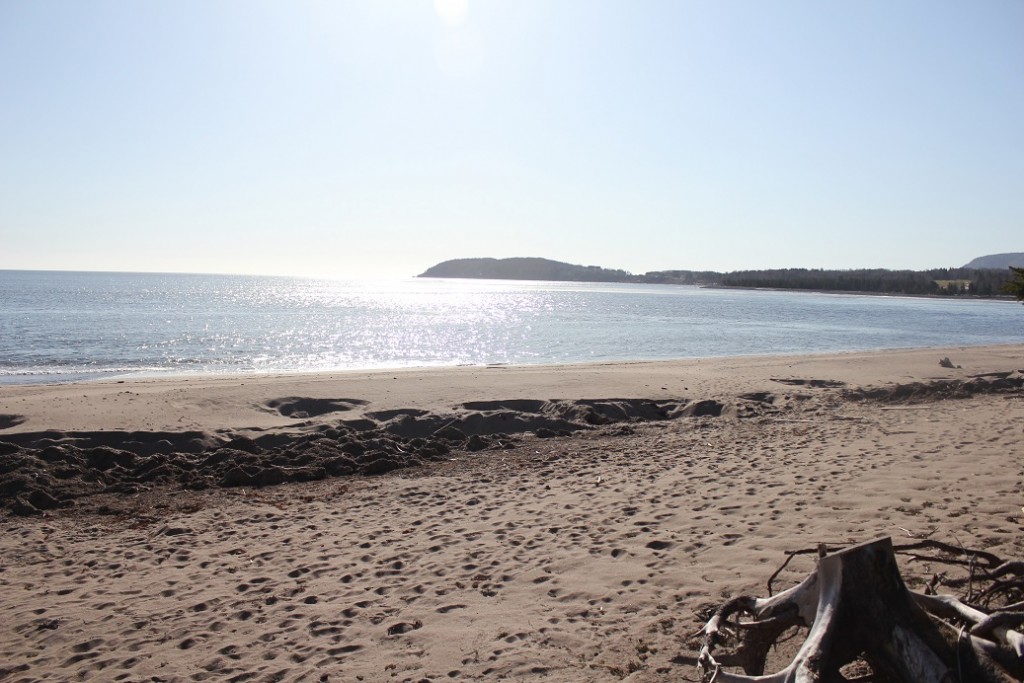 Cape Breton Beaches Salt Water 