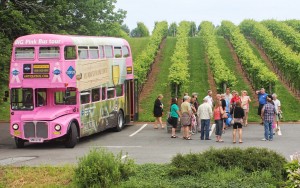 Magic Wine Bus Valley