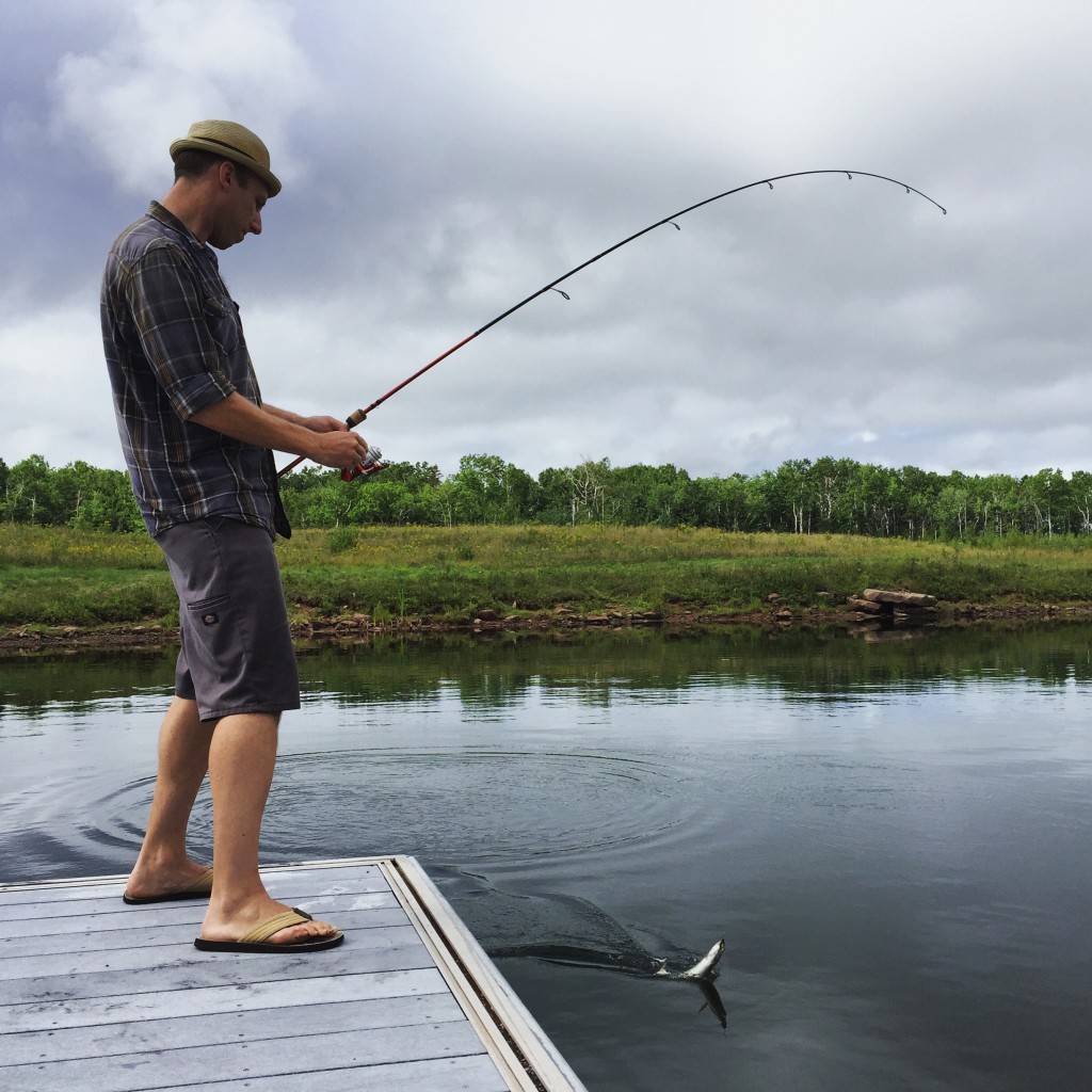 Trout Fishing Nova Scotia